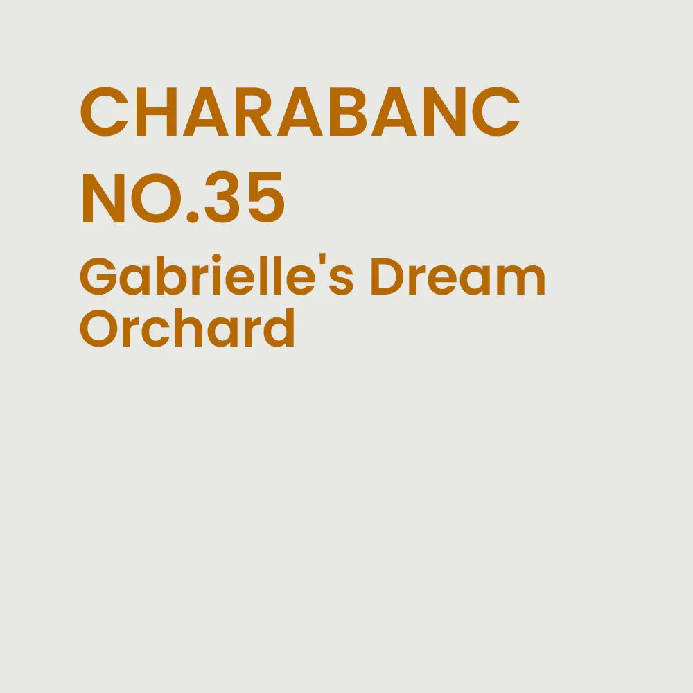 Essential Oil NO.35 Gabrielle Dream Orchard