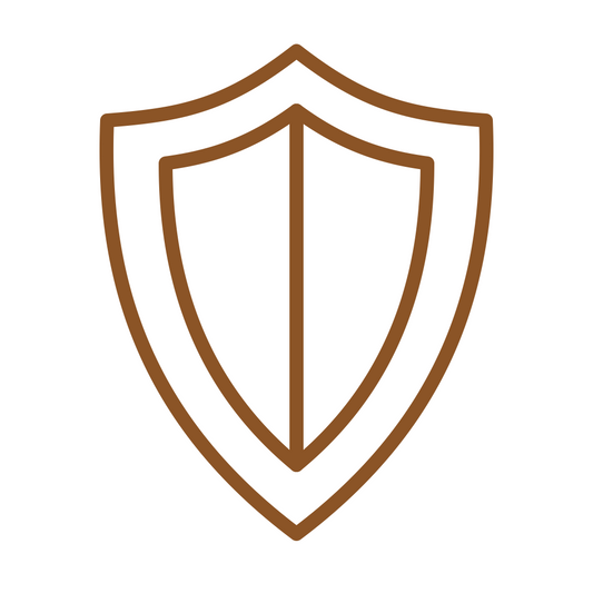 Delivery protection shield icon