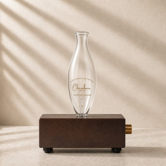 MINI Travel diffuser